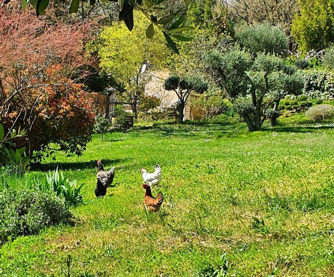 Monteze Paradis Bed and Breakfast Saint-Christol-lès-Alès Exterior foto